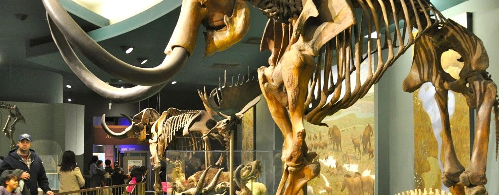 Private guided tour of Two Smithsonian Museums