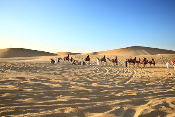 Private camel trekking in Abu Dhabi