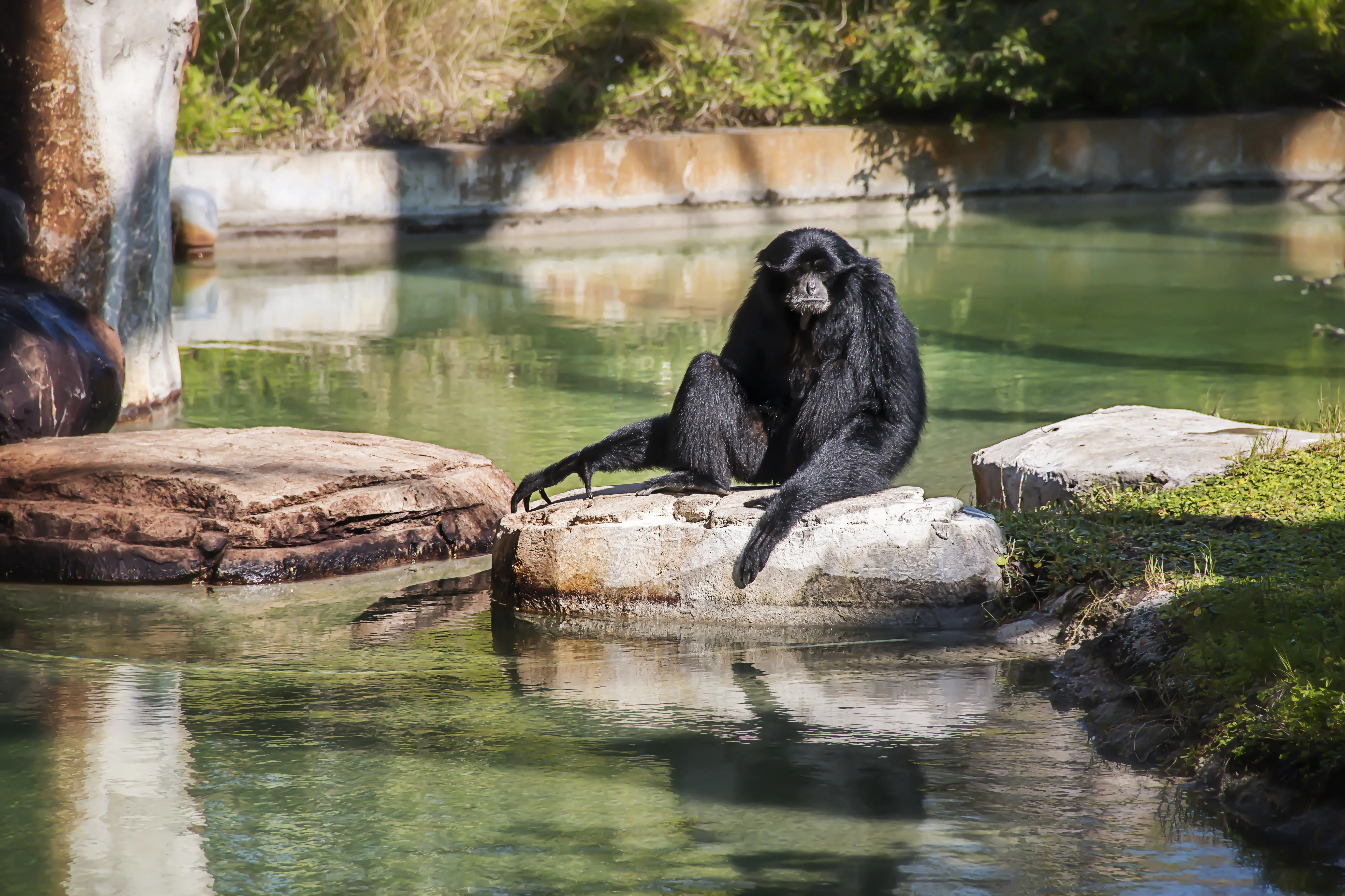 Zoo Tampa