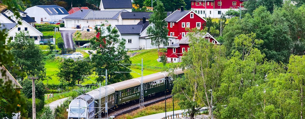 Viaggio di andata e ritorno privato di un'intera giornata da Oslo a Sognefjord tramite la ferrovia di Flåm