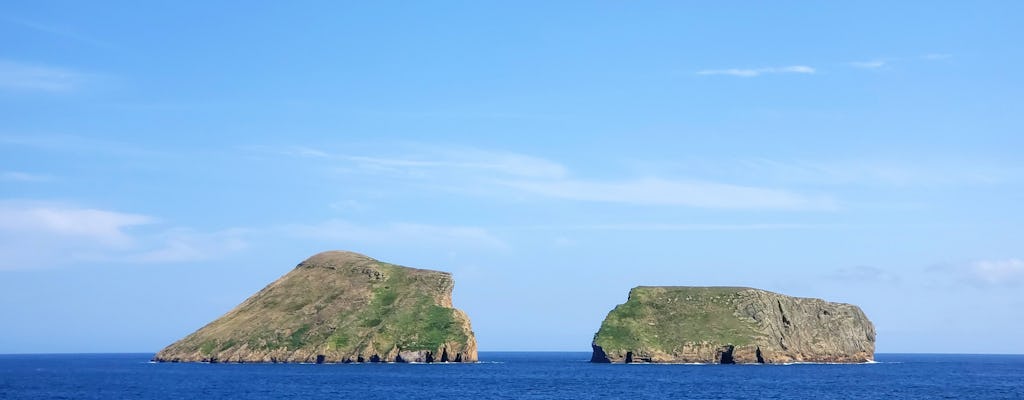 Terceira Whale Watching & Islets Ticket