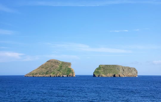 Terceira Whale Watching & Islets Ticket