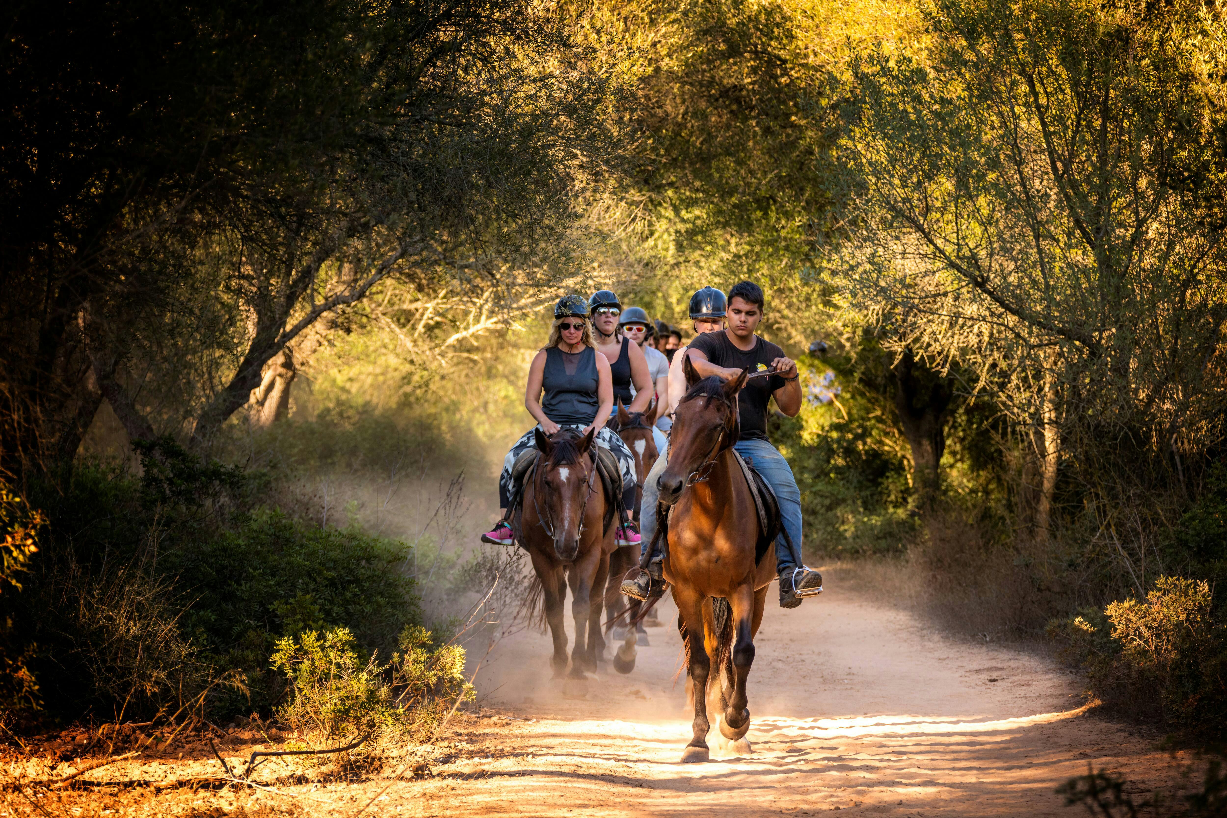Experiencia de montar a caballo por el Camino Taíno