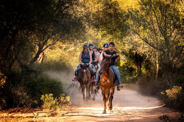 Taino Trail Horseback Riding Experience