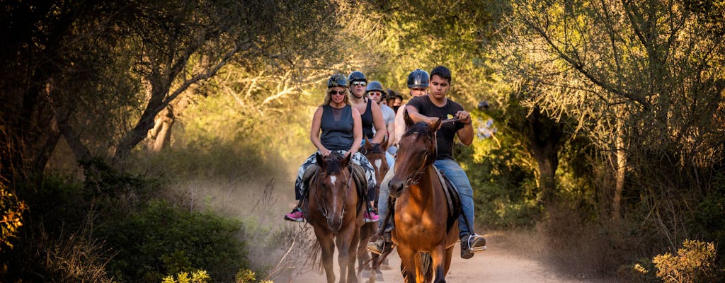 Taino Trail Horseback Riding Experience
