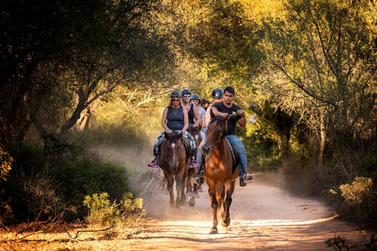 Expérience d'équitation sur le sentier Taino