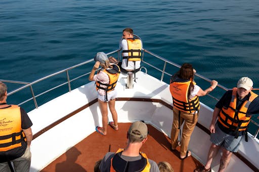 Mirissa Whale Watching Tour