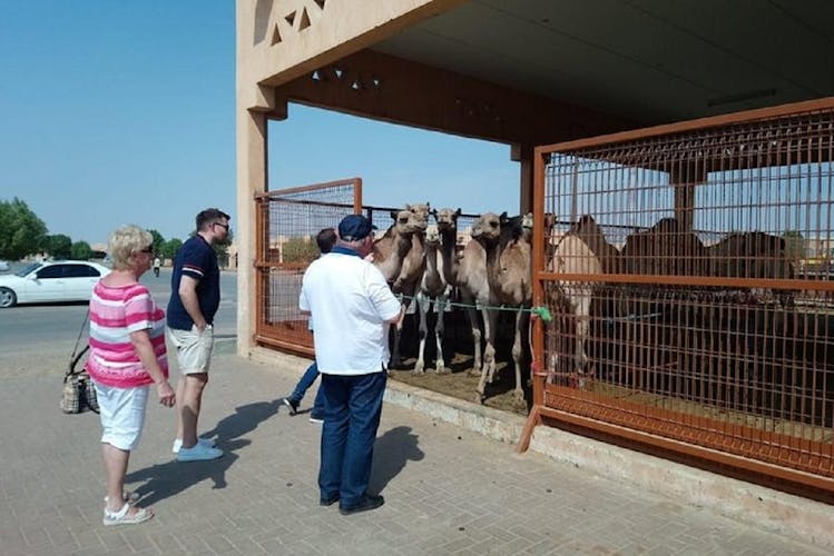 Al Ain private tour with lunch from Abu Dhabi
