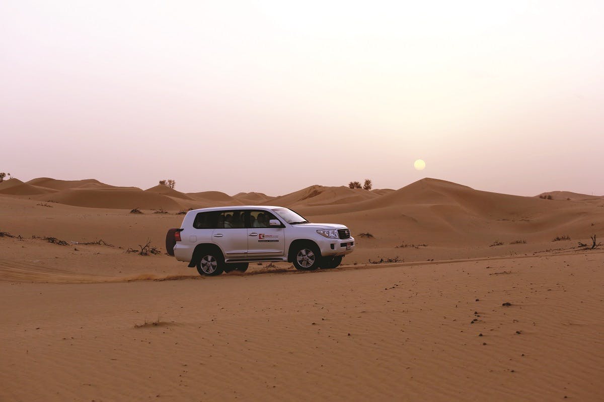 Private morgendliche Wüstensafari ab Abu Dhabi