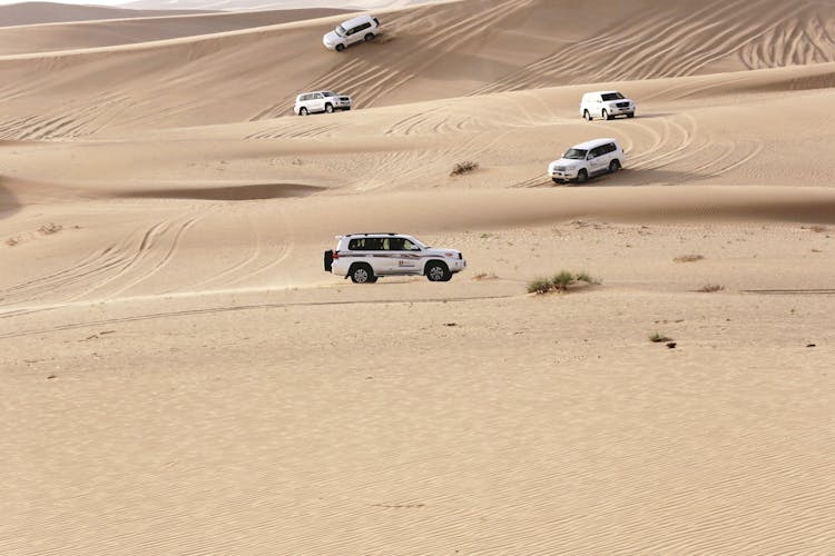 Private morning desert safari from Abu Dhabi
