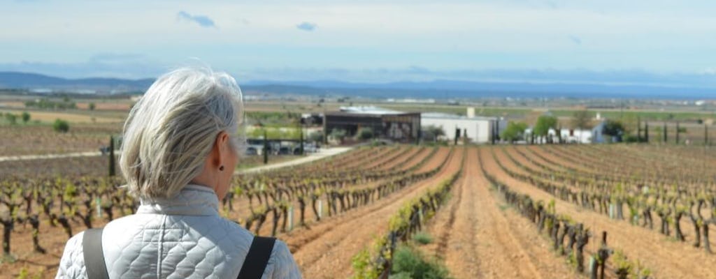 Escapada vinícola desde Valencia con degustación de vino y cava