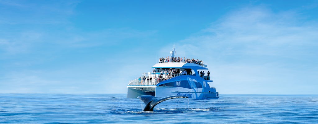 Sea World whale-watching cruise with 100% sighting guarantee