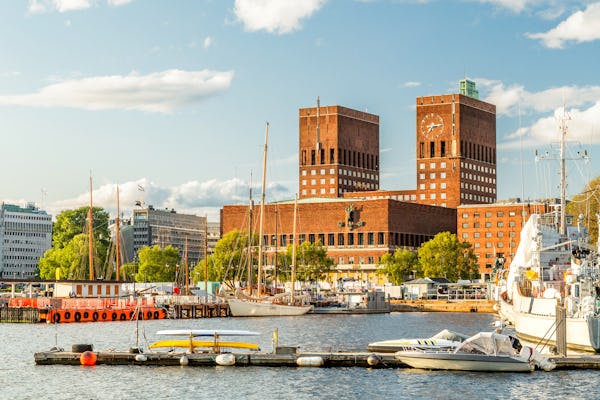 Private half-day Oslo sightseeing tour