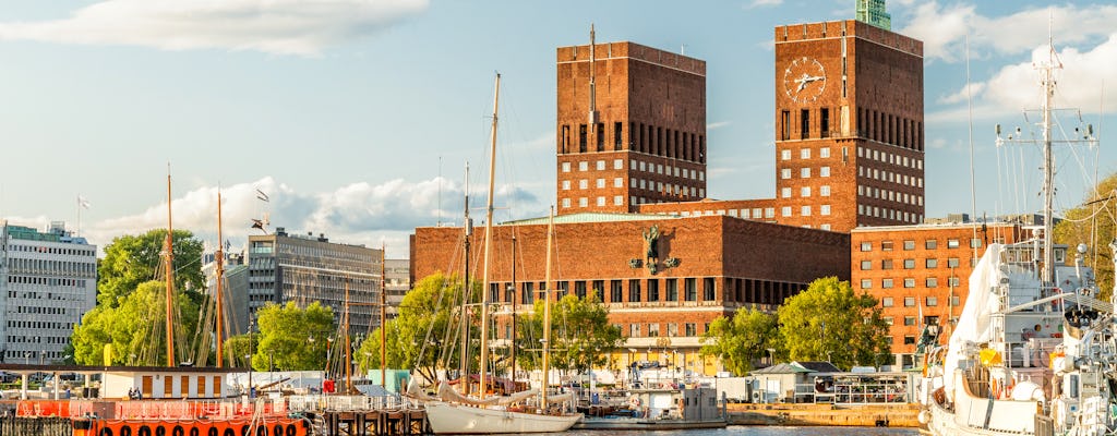 Privé sightseeingtour van een halve dag door Oslo