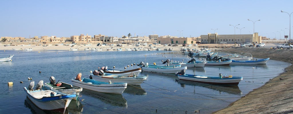 Visite d'une journée d'East Salalah et de la ville