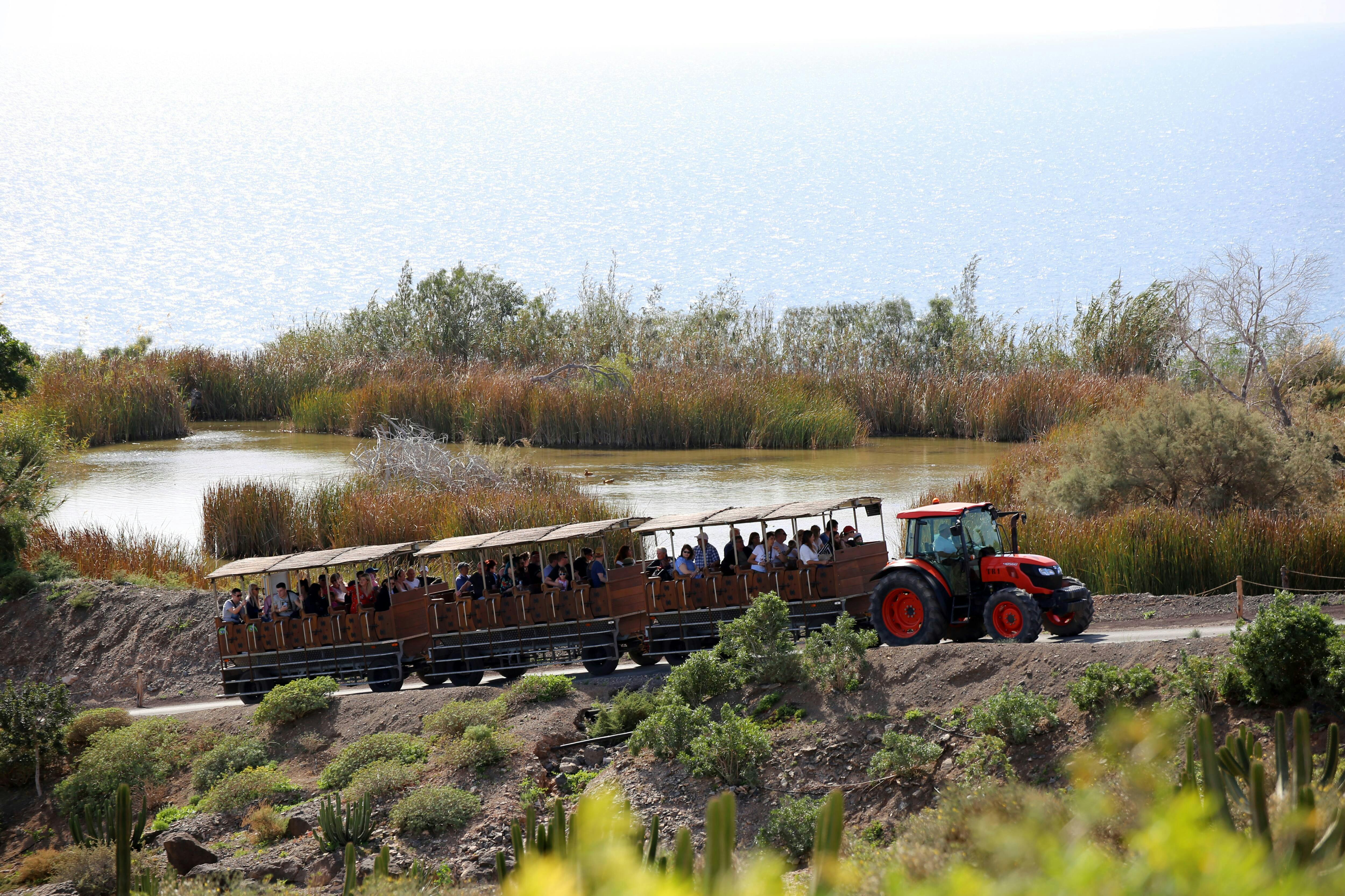 Oasis Wildlife Fuerteventura Ticket with Transfers