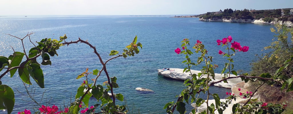 Private Full Day Cyprus Tour by Taxi Without Guide