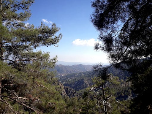 Private Full Day Cyprus Tour by Taxi