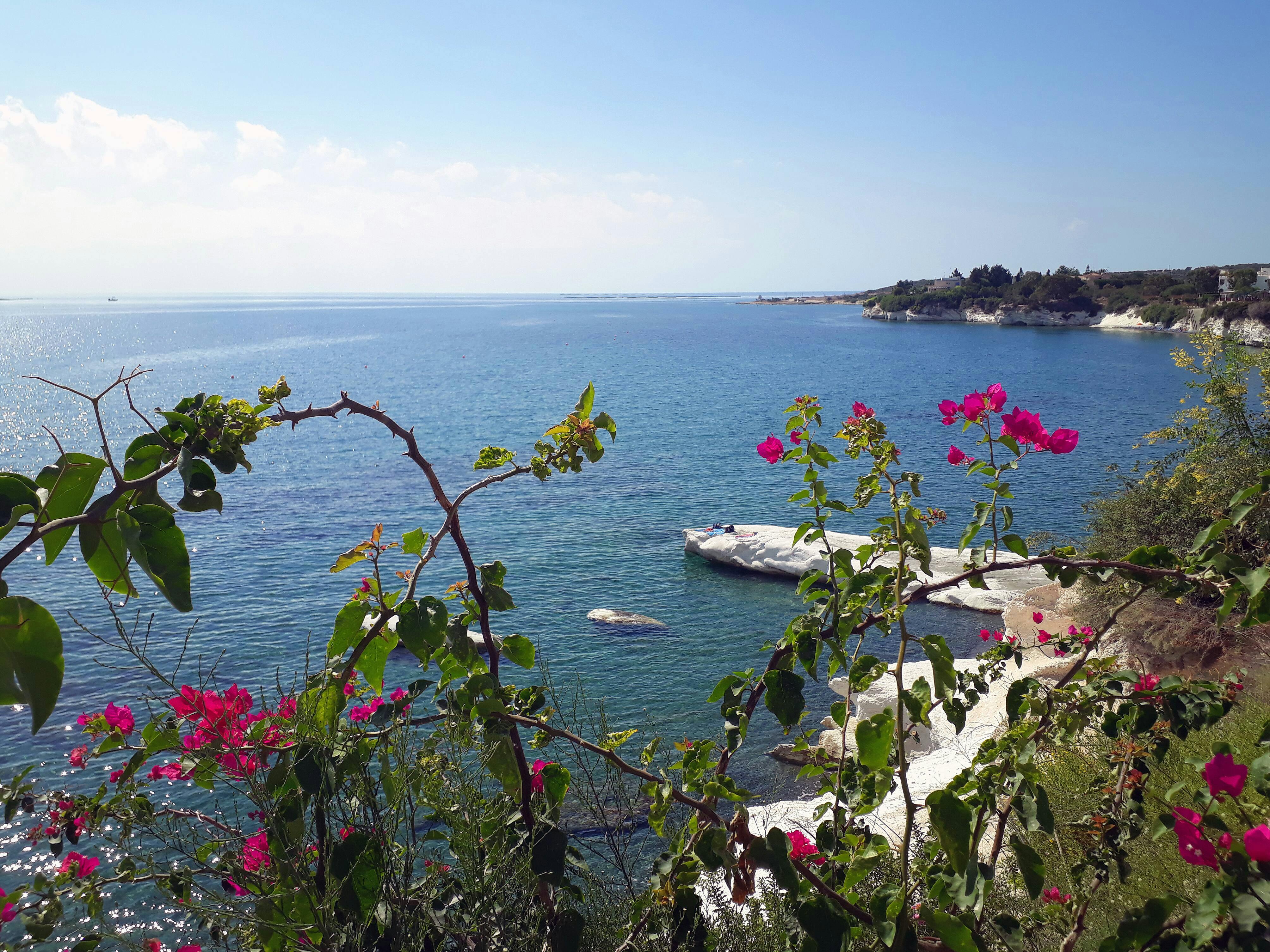 Private Half-Day Cyprus Tour by Taxi without Guide