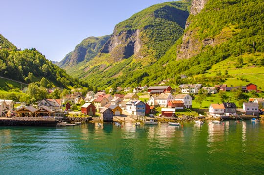 Visita guidata privata da Oslo a Bergen via Flam e Sognefjord