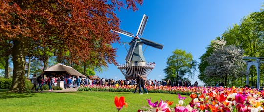 Visita guidata di Keukenhof da Rotterdam con Madurodam