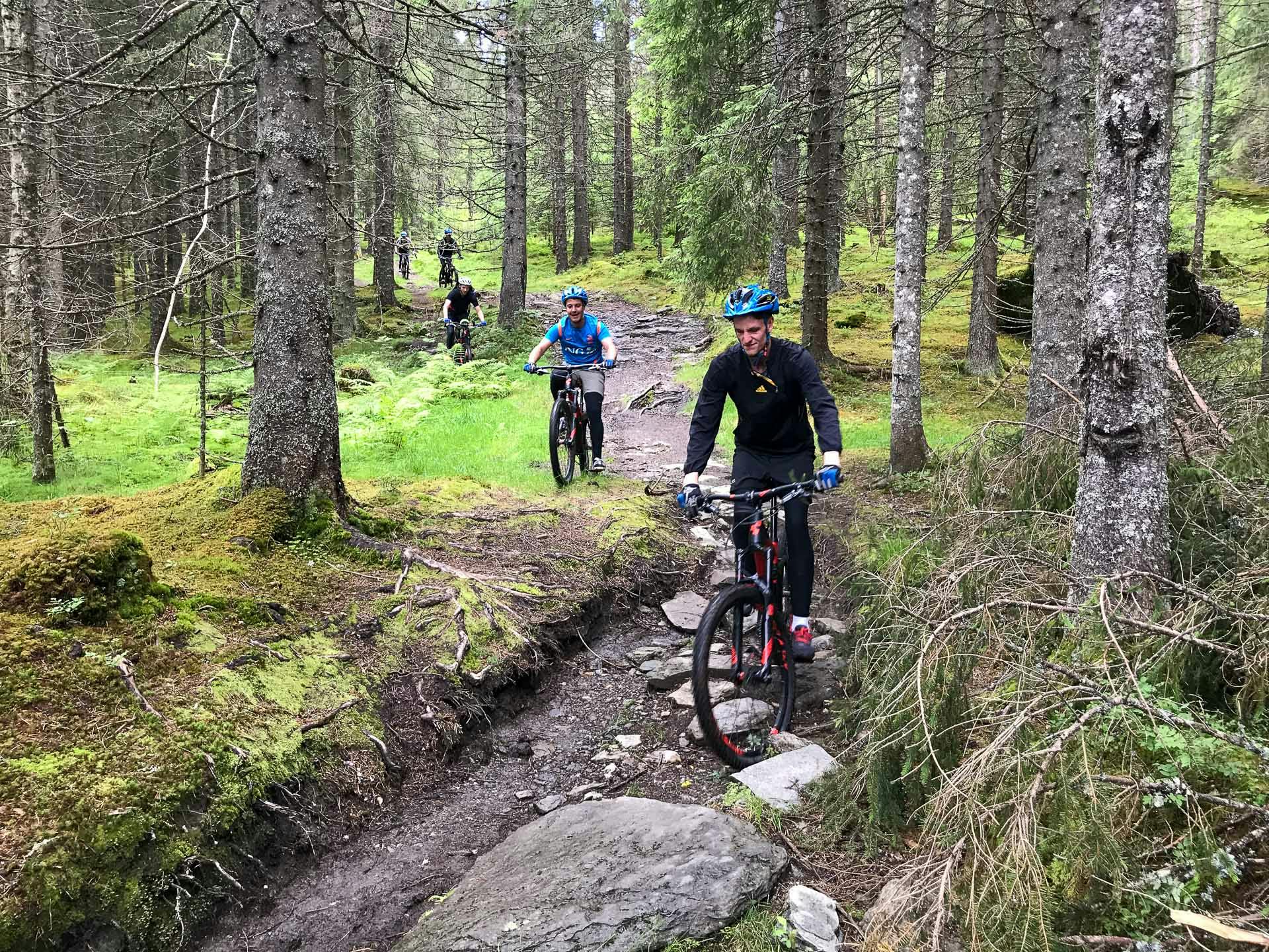 Guided mountain bike tour through the Voss hills