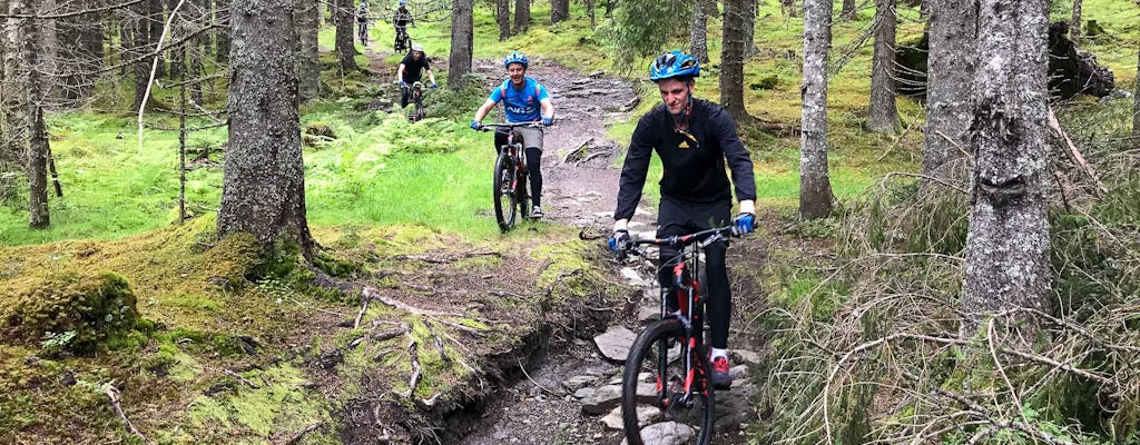 Guided mountain bike tour through the Voss hills