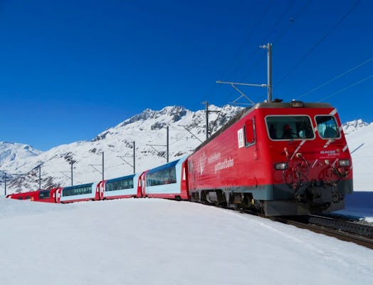 Private day-tour on the Glacier Express panoramic train from Basel