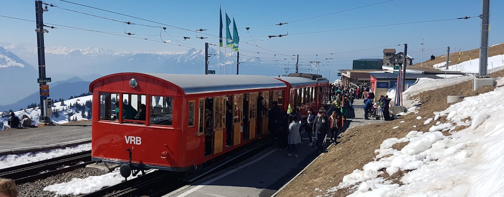 Private guided tour to Mount Rigi with lake cruise from Basel