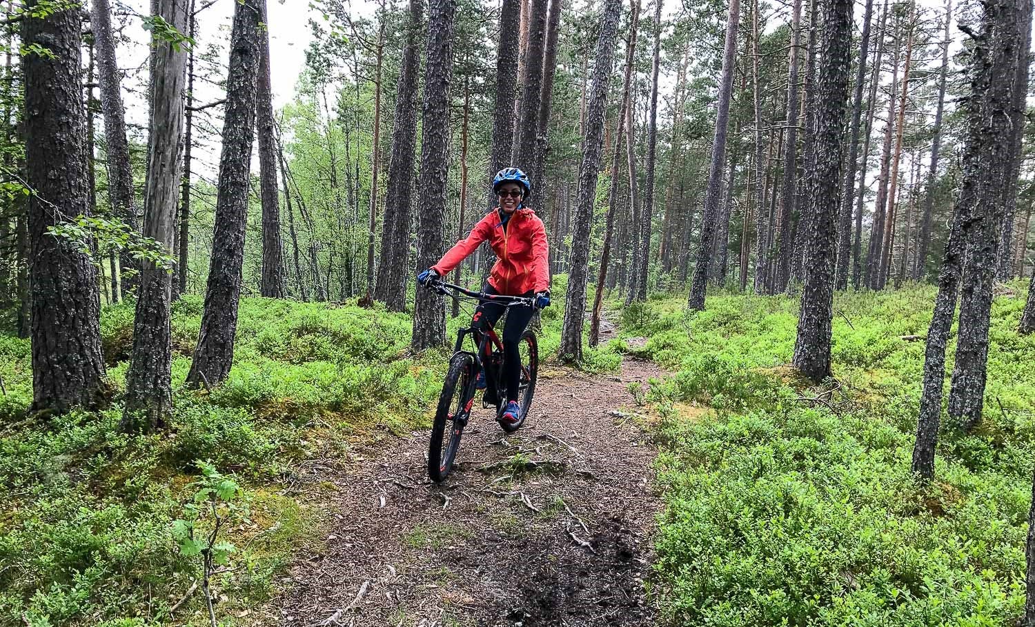 Esperienza in mountain bike attraverso la foresta di Voss