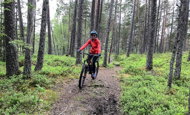 Experiência de mountain bike pela floresta de Voss