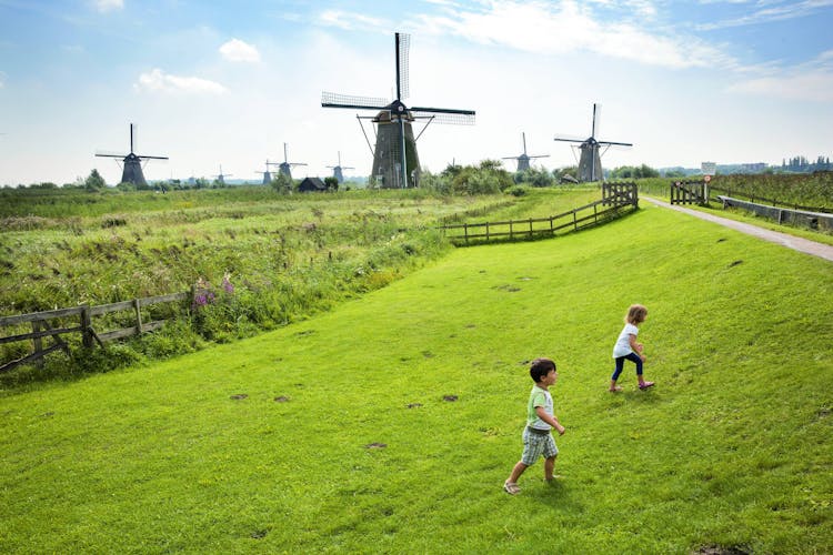 UNESCO Kinderdijk, Euromast and Spido day trip from Rotterdam