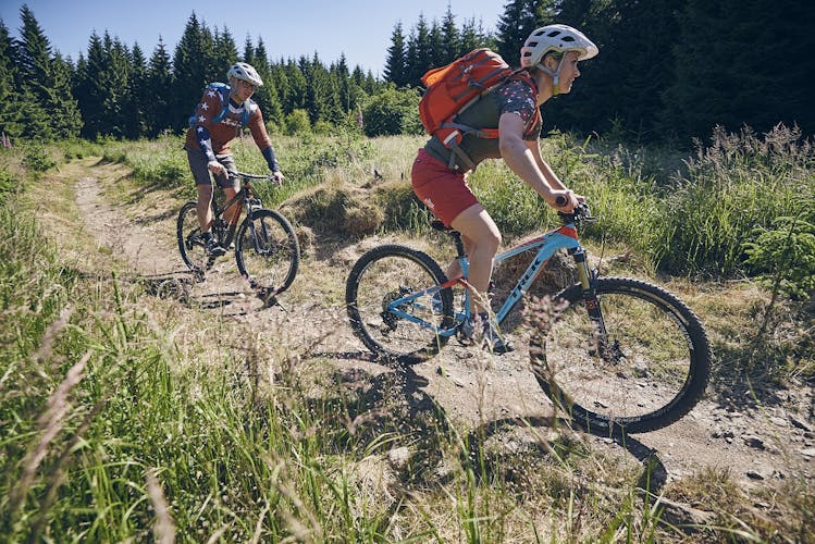 Daily mountain bike rental in the Ore Mountains