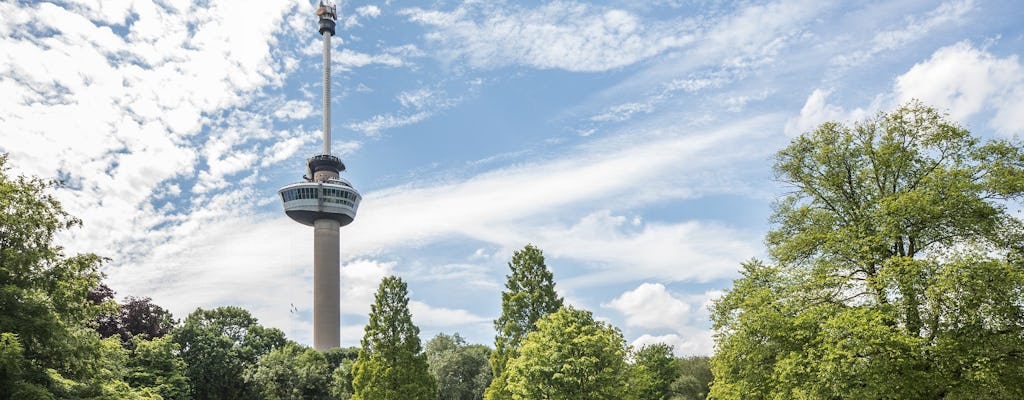 Day trip to UNESCO Kinderdijk, Euromast and Spido from Amsterdam