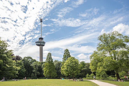 Day trip to UNESCO Kinderdijk, Euromast and Spido from Amsterdam