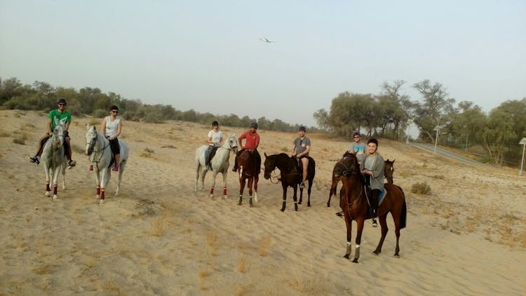 Horseback ride through Dubai desert park