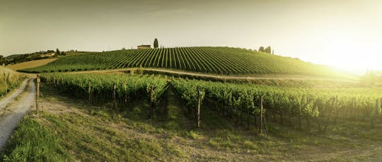 Wycieczka w małej grupie z degustacją wina i kolacja o zachodzie słońca w Chianti