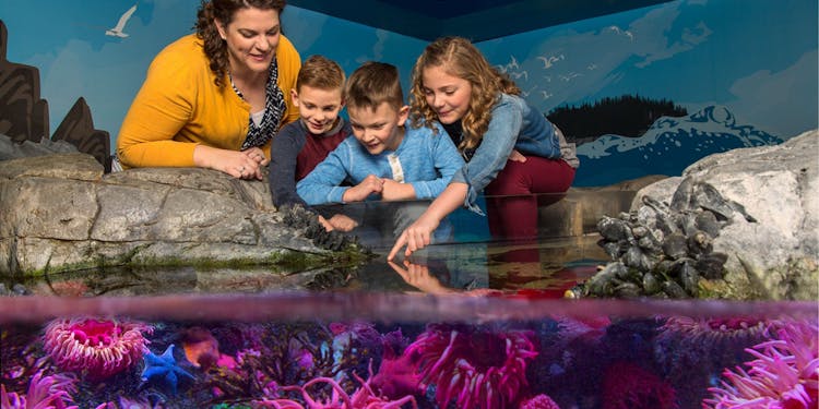 New Jersey's SEA LIFE admission tickets