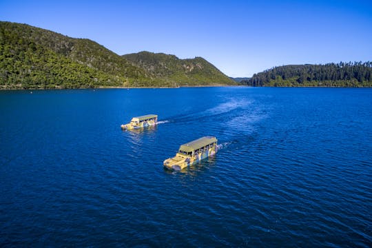 Wycieczka po mieście i jeziorach Rotorua