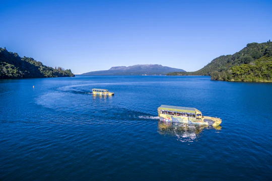Tarawera and lakes eco tour