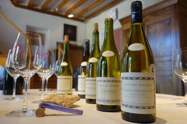 Sesión de cata de vinos Chablis en el Domaine Clotilde Davenne