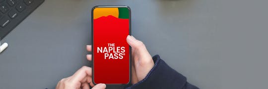 3-day light Naples pass