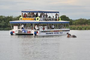 Victoria Falls image