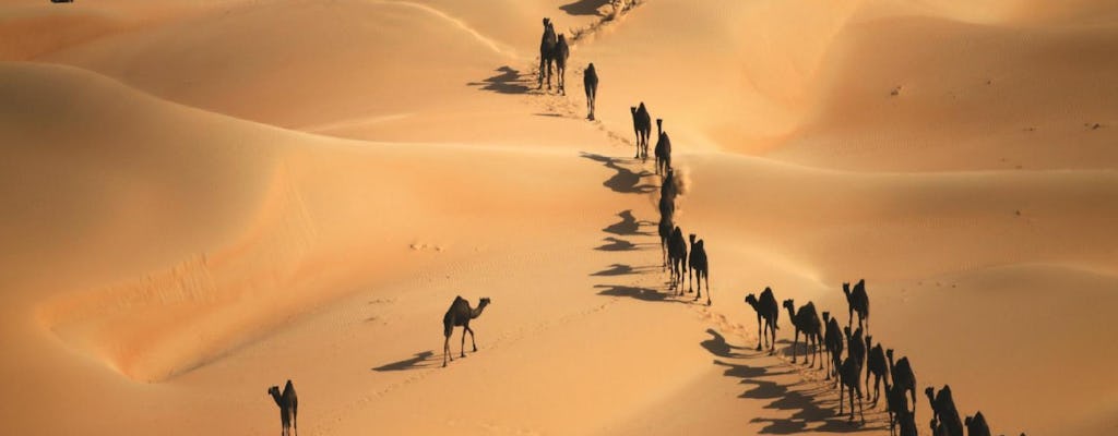 Tour safari privato di Liwa 4x4 di un'intera giornata da Abu Dhabi