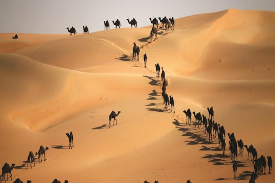 Tour safari privato di Liwa 4x4 di un'intera giornata da Abu Dhabi