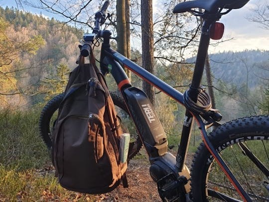 Passeio guiado de bicicleta elétrica no Parque Nacional da Floresta da Baviera