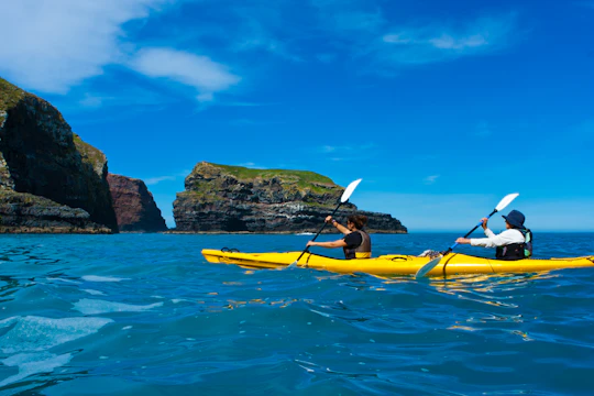 Early bird scenic kayak safari tour