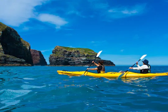 Early bird scenic kayak safari tour