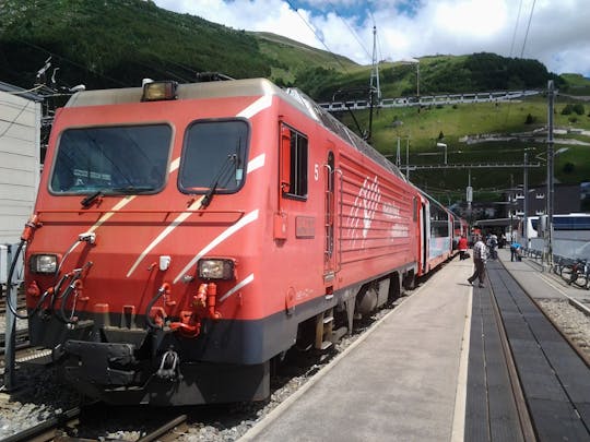 Tour privado de um dia no trem panorâmico Glacier Express saindo de Berna