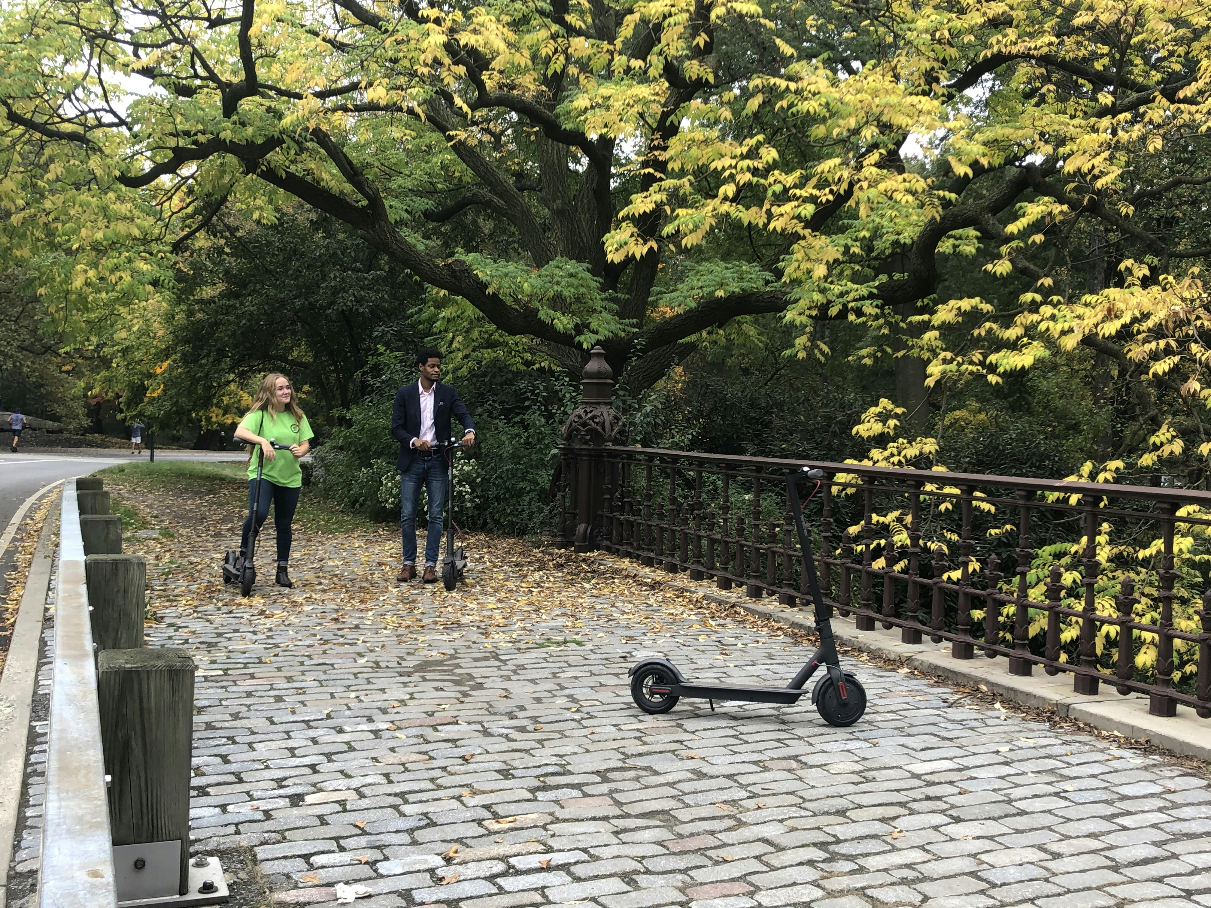 Tour in scooter elettrico di Central Park